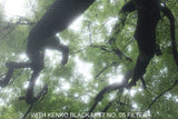 Kenko Black Mist No. 05 Camera Lens Filter