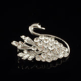 14k white Gold plated with crystals brilliant swan brooch pin