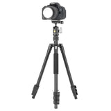 Vanguard VESTA GO 204AB Aluminium BH Camera Lightweight Compact Tripod Stand V252711