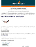 Portwest Anti Blue Light Blocker Blocking Safety Glasses Computer Gaming Filter Work Protective Goggles Eyewear PS17BRR Eye Protection