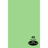 Savage Widetone Mint Green Studio Photography Backdrop Prop Background Paper