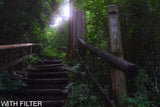 HOYA Mist Diffuser Black No 1 Camera Lens Filter