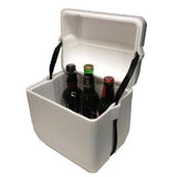 6L Polystyrene styrofoam foam cooler box icebox 6-bottle Size and 6 reusable ice gel packs