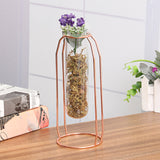 Flower Glass Tube Vase Plant Planter Container Gold Metal Line Holder Stand