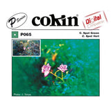 Cokin Center Spot Green Creative Camera Filter M (P) Series P065