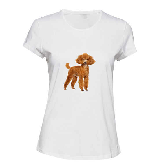 Brown Poodle Dog Cute Baby Puppy Pet White Ladies Women T Shirt Tee Top