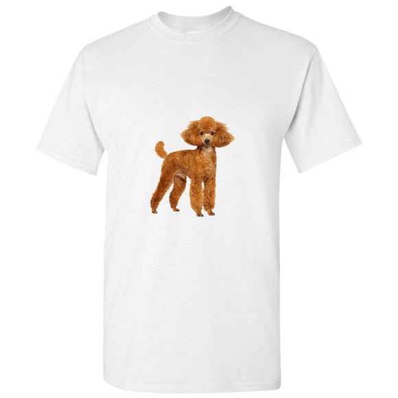 Brown Poodle Dog Cute Baby Puppy Pet White Men T Shirt Tee Top