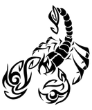 Scorpio Scorpion Zodiac Horoscope Black Star Sign Men T Shirt Tee Top
