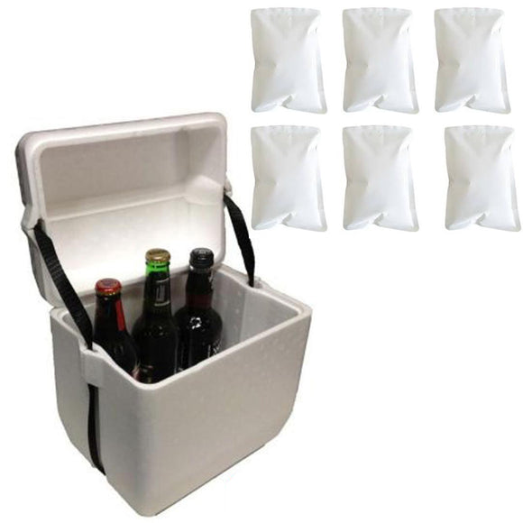 6L Polystyrene styrofoam foam cooler box icebox 6-bottle Size and 6 reusable ice gel packs