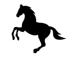 Classic Running Wild Black Horse Mustang Pony Ladies Women T Shirt Tee Top